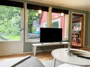 Televisión y chimenea 