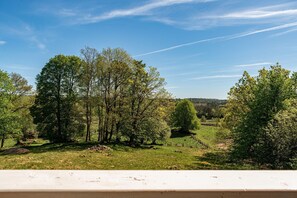 Un paysage naturel avec des arbres et un ciel dégagé.