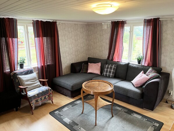 TV, fireplace, DVD player