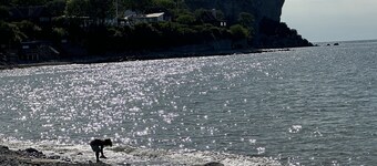 Cozy little cottage in the middle of Gotland near Visby | SE12024