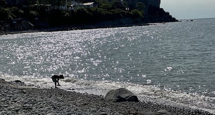 Cozy little cottage in the middle of Gotland near Visby | SE12024