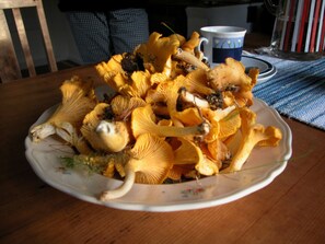 Une assiette de champignons jaunes sur une table.
