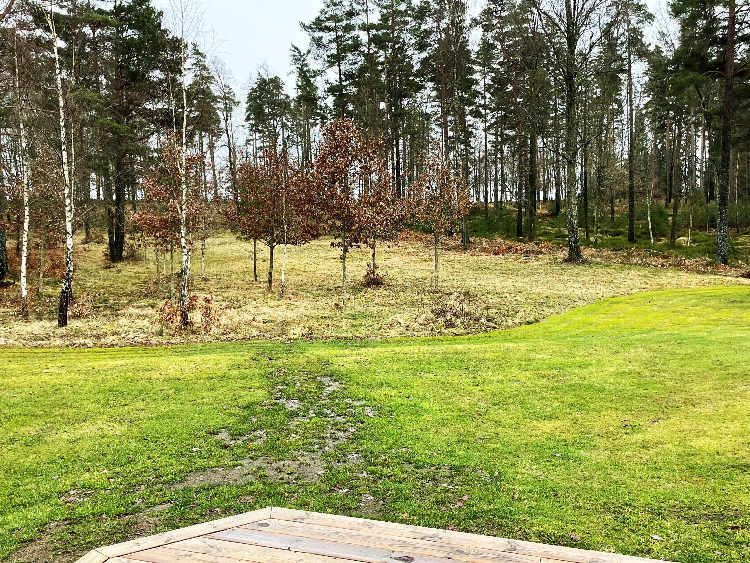 Boendeområde