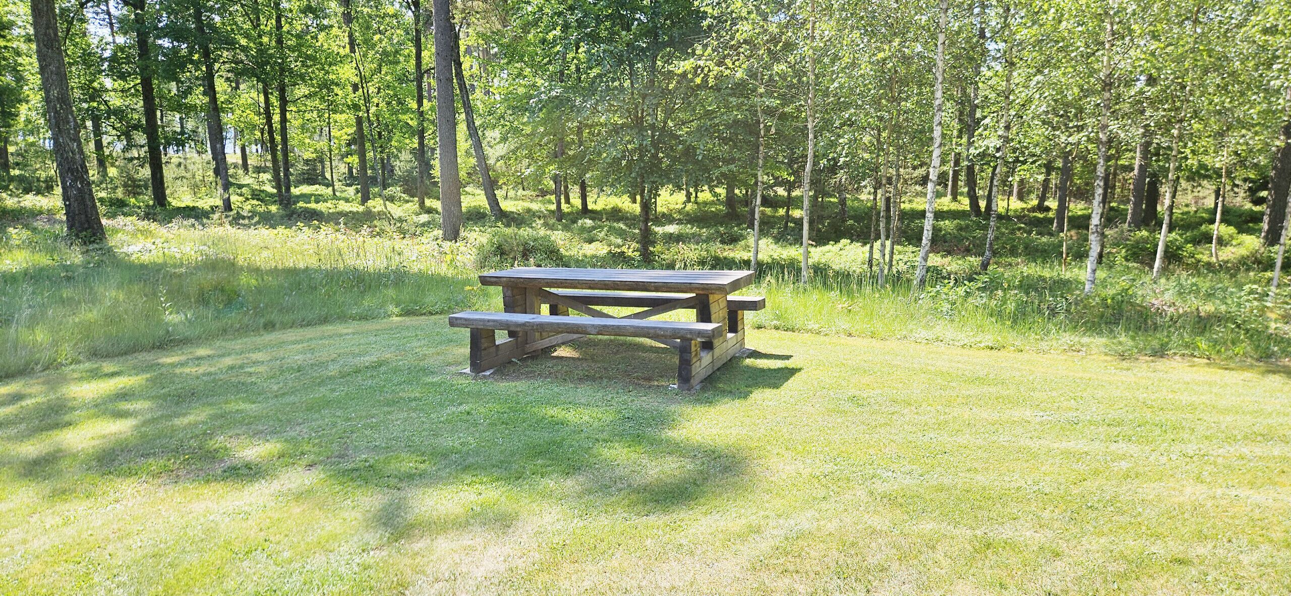 A picnic table in a grassy area surrounded by trees.