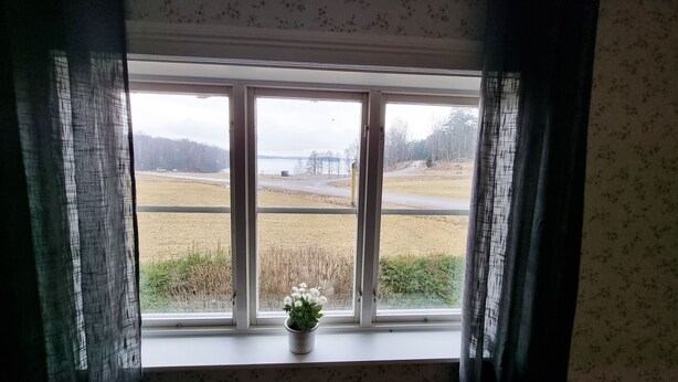 Ein Fenster mit Blick auf ein Feld und Bäume, ein Blumentopf auf der Fensterbank und teilweise gezogene Vorhänge.
