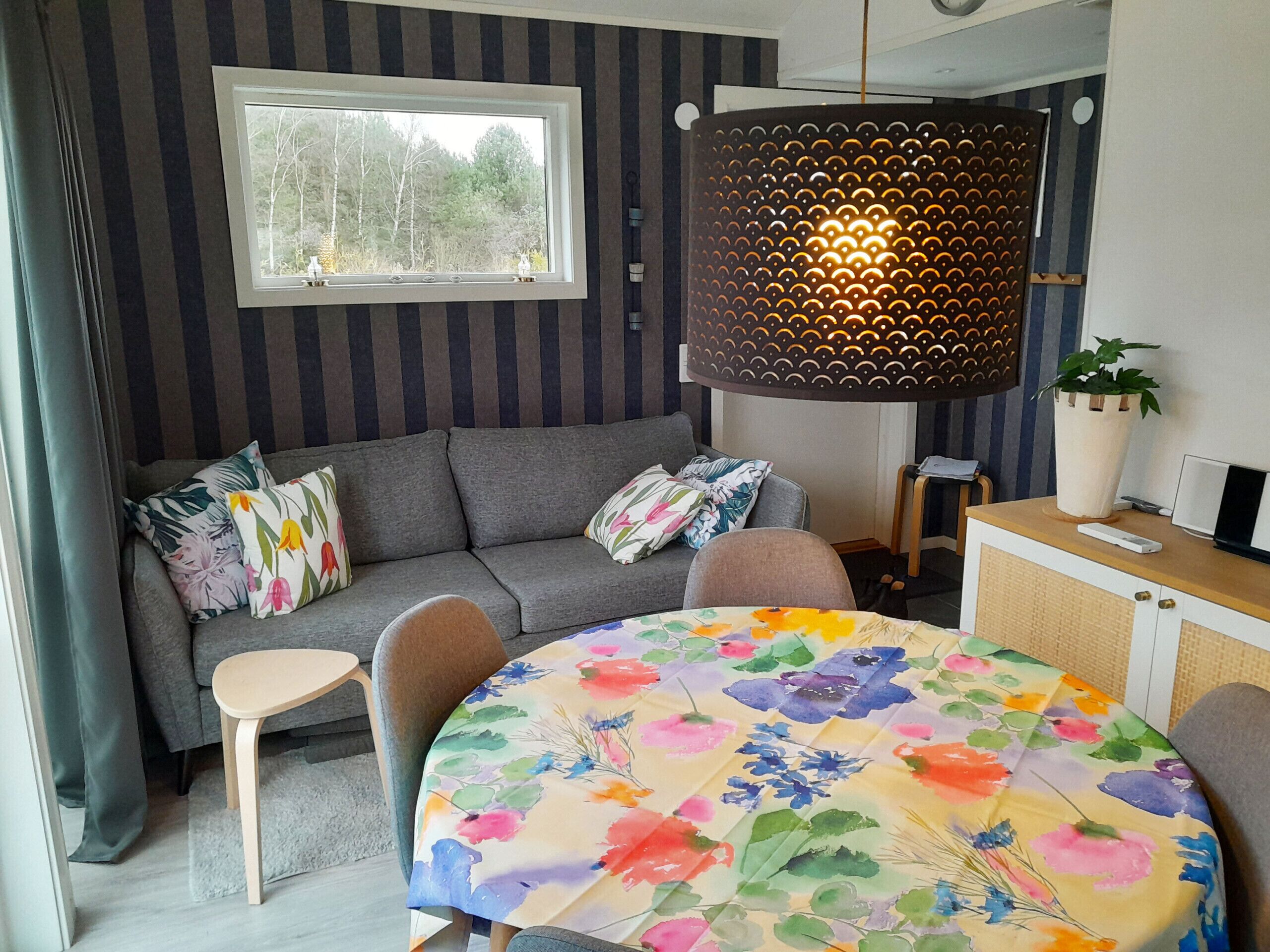 TV