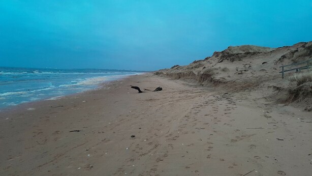 Une plage de sable, une étendue d’eau et une colline herbeuse.