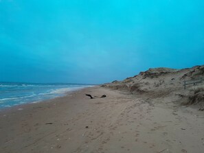 Playa