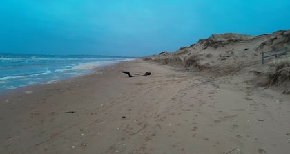 Nice little cottage in picturesque Tönnersa beach village, near Halmstad | SE02097