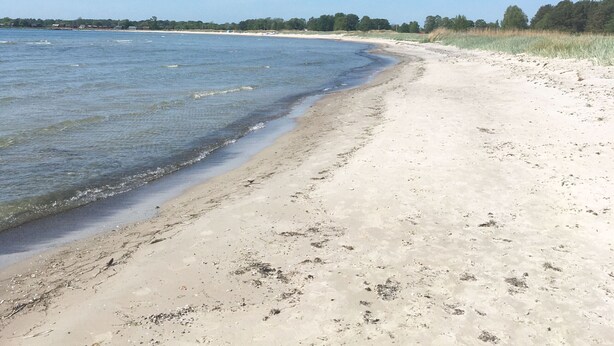 Una playa arenosa con agua cristalina y una costa distante.