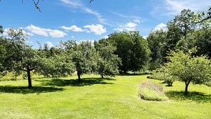 Un parque cubierto de césped con árboles y cielo despejado.