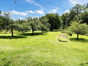 Property grounds - Red cottage located close to forest and land outside Virserum | SE05066 (Järnforsen)