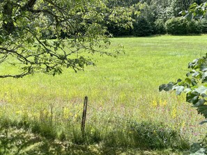 Property grounds - Red cottage located close to forest and land outside Virserum | SE05066 (Järnforsen)