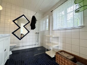 Shower, hair dryer