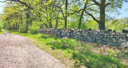 Large and spacious villa in Revsudden, north of Kalmar | SE05075