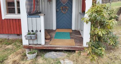 Charming Dala cottage in Bjursås | SE19029