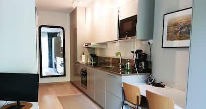 Modern apartment in the center of Visby | SE12053