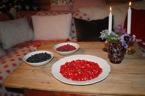 Charming Cottage by Lake Vänern, Frändefors | SE17013