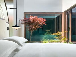 Una habitación moderna con cama, una lámpara colgante y vistas a un jardín con plantas y un árbol.