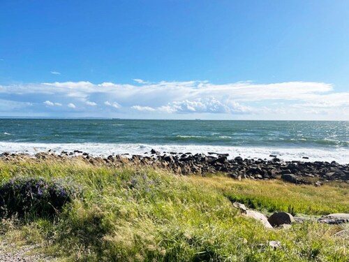 Holiday home near the beach with proximity to Tylösand | SE02037