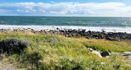 Holiday home near the beach with proximity to Tylösand | SE02037