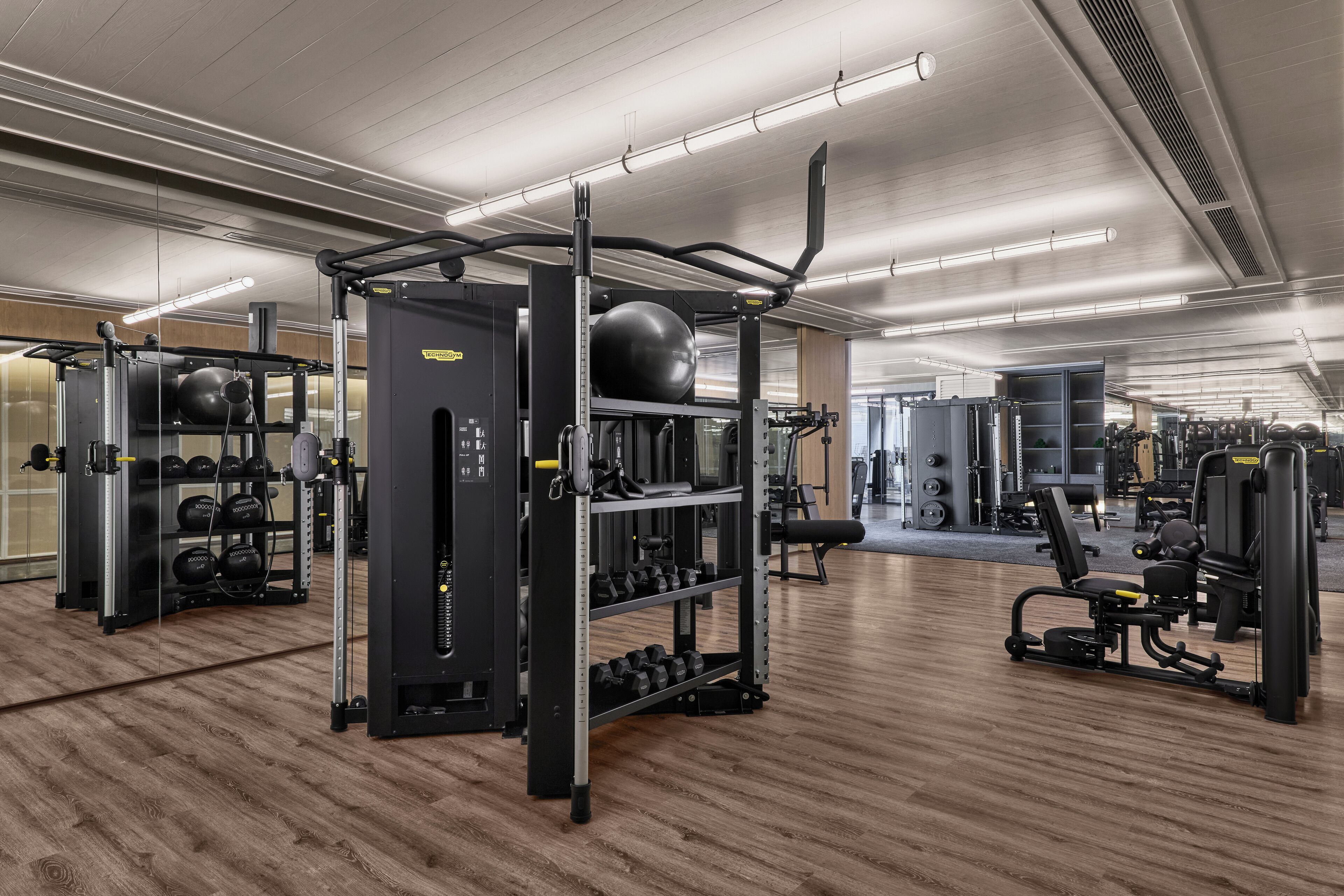 A modern gym with various exercise equipment, including weight machines, free weights, and a rowing machine.