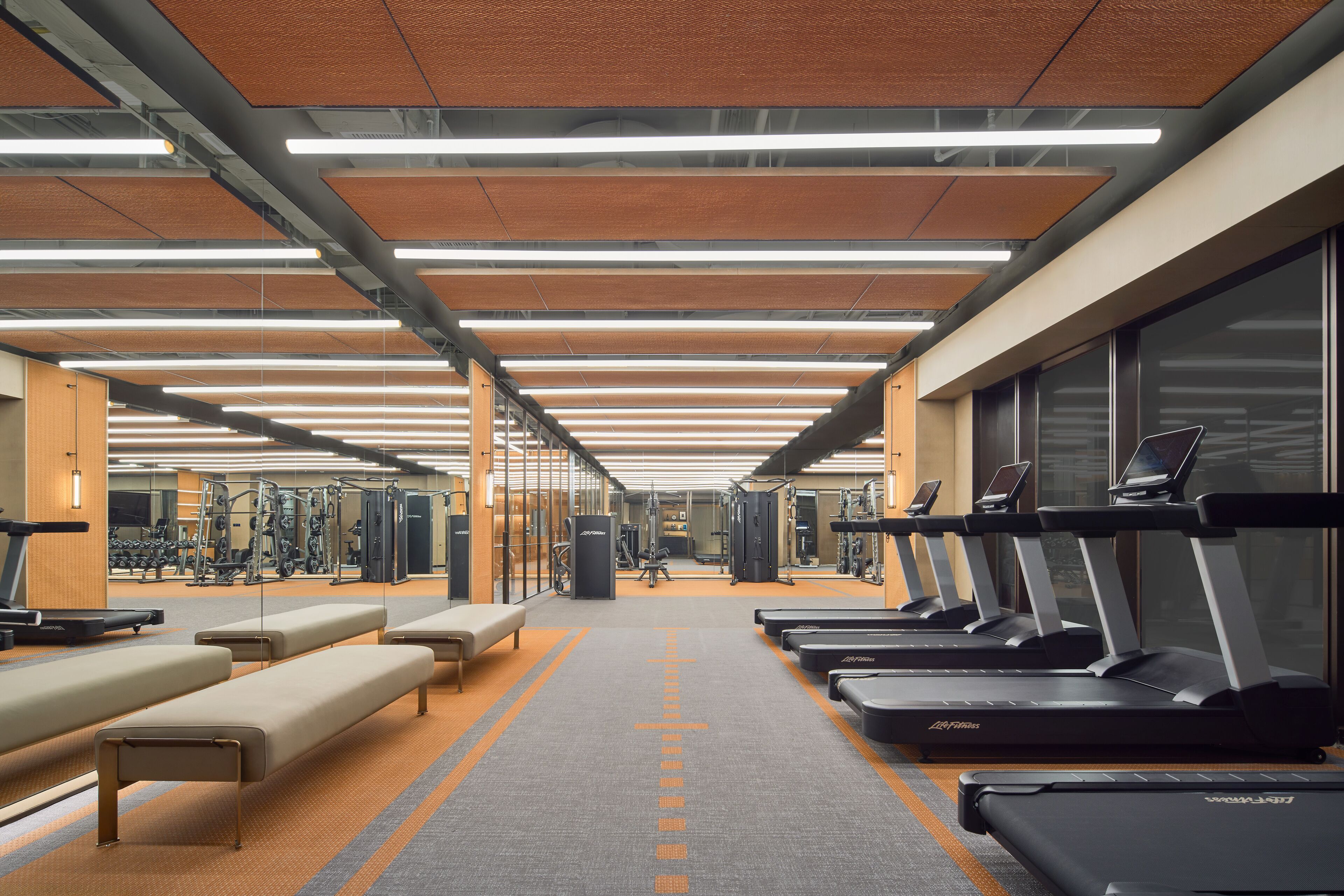 A gym with treadmills, benches, and weight machines.