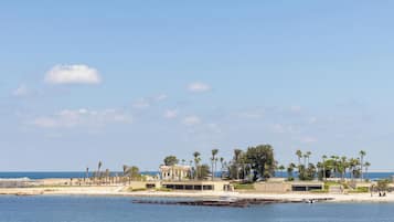 A coastal hotel with a marina, palm trees, and a clear view of the sea.