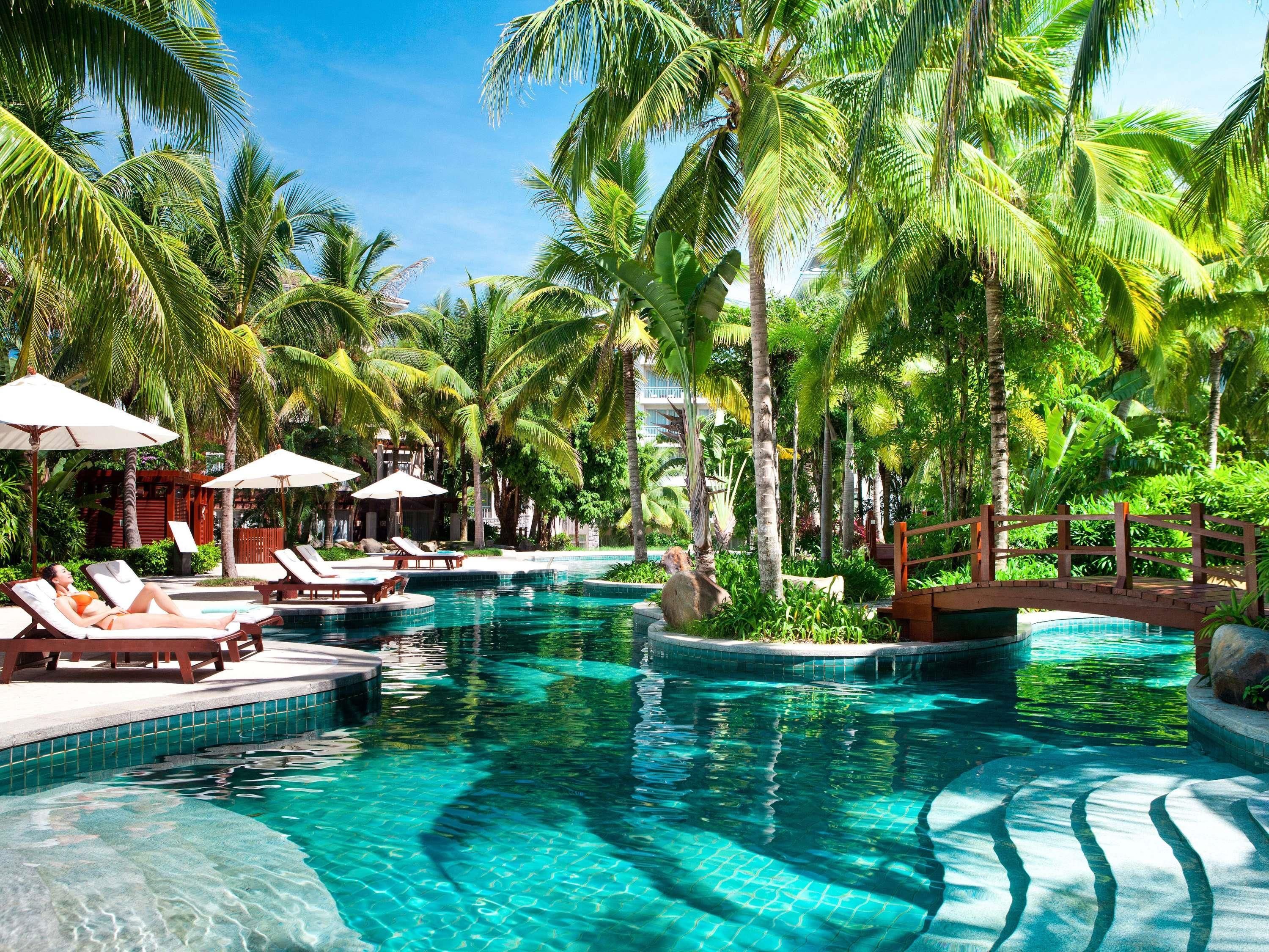 A pool area with lounge chairs and umbrellas, surrounded by palm trees.