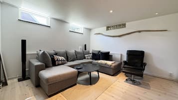 Fernseher, Kamin