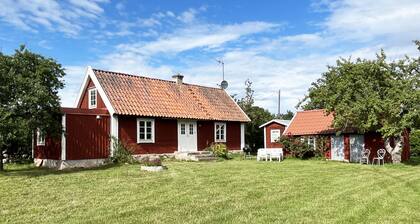 Nice cottage on Öland with grazing sheep in the surroundings I SE04033