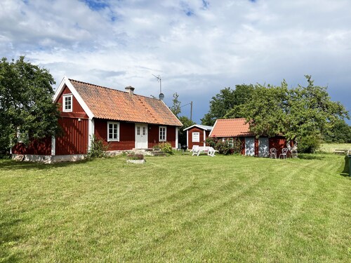 Nice cottage on Öland with grazing sheep in the surroundings I SE04033