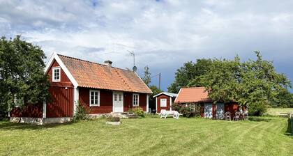 Nice cottage on Öland with grazing sheep in the surroundings I SE04033