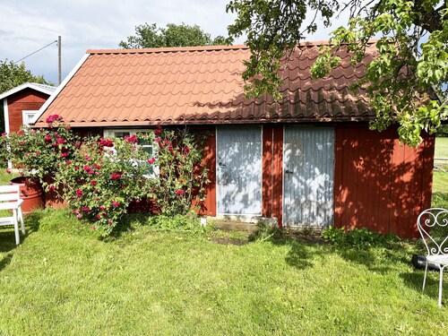 Nice cottage on Öland with grazing sheep in the surroundings I SE04033