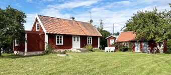 Nice cottage on Öland with grazing sheep in the surroundings I SE04033