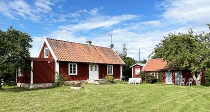 Nice cottage on Öland with grazing sheep in the surroundings I SE04033