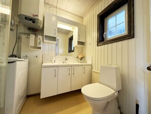 Shower, hair dryer