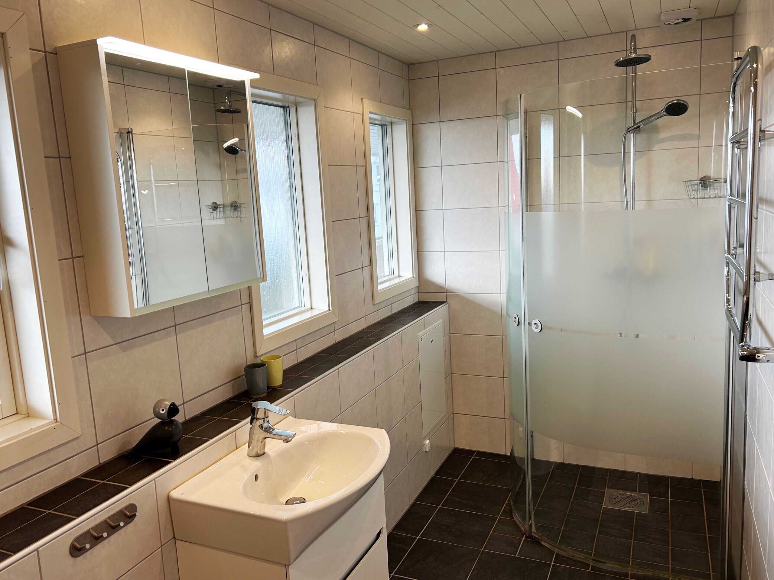 Shower, hair dryer