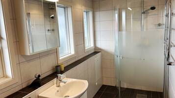 Shower, hair dryer