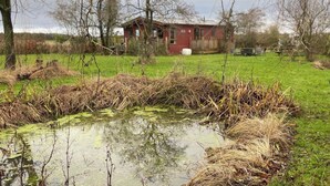 A rustic cabin with a pond in a natural setting. - Lilac Lodge Retreat for 6, Set in One Acre of Land (Otley)