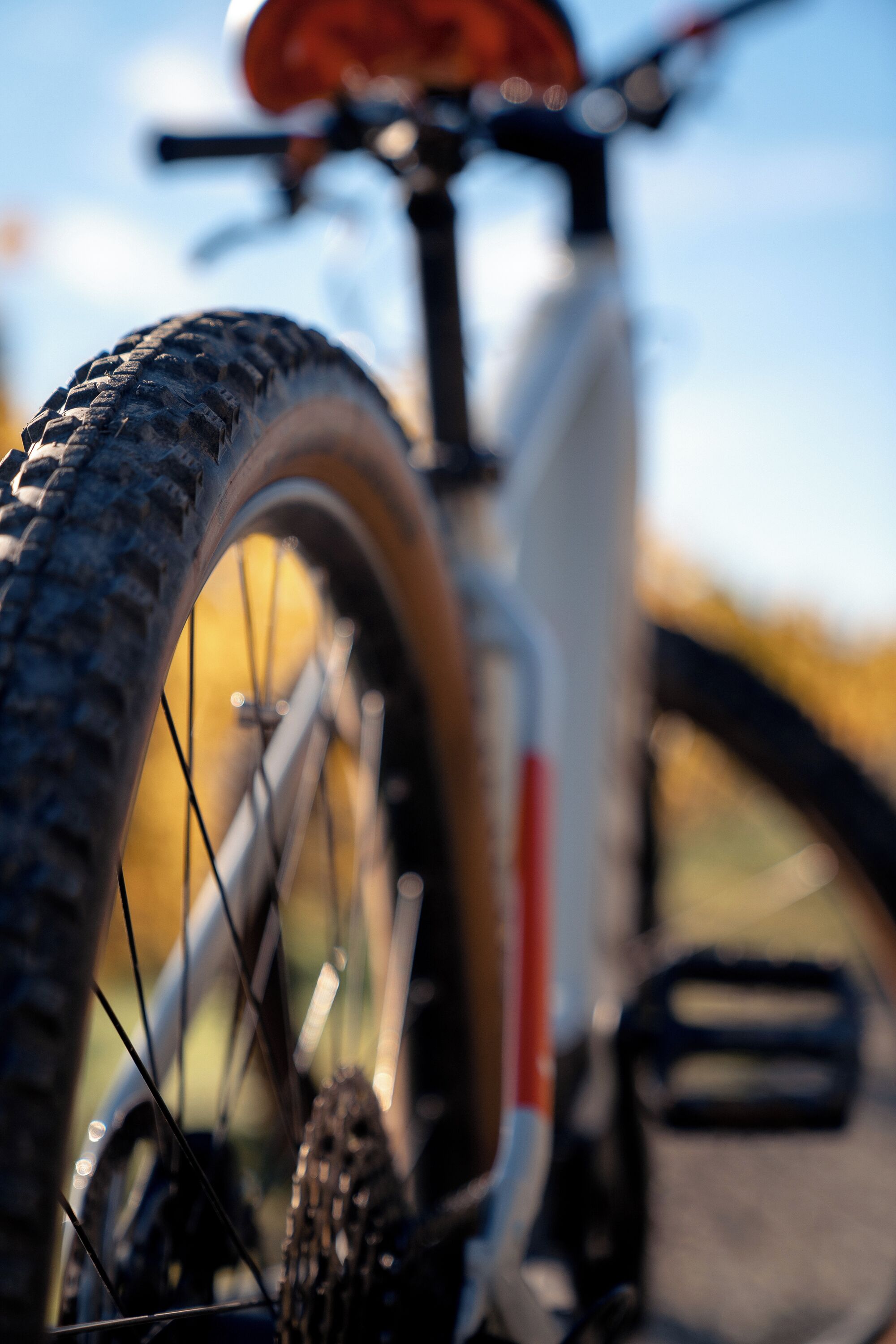 A close-up of a bicycle's tire and part of the frame.