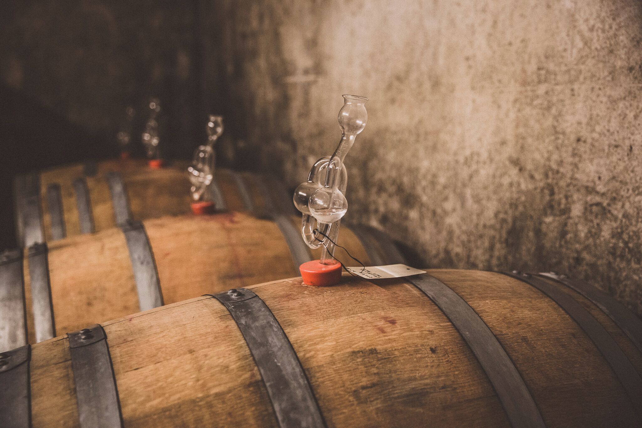 Des barils en bois, surmontés de verres, probablement utilisés pour le vieillissement du vin, dans une cave faiblement éclairée.