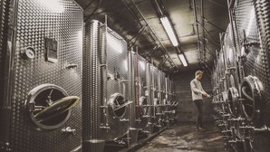 A person standing in a row of industrial fermentation tanks in a facility. - Weingut Gehlen-Cornelius (Brauneberg)