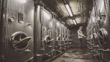 Winery
