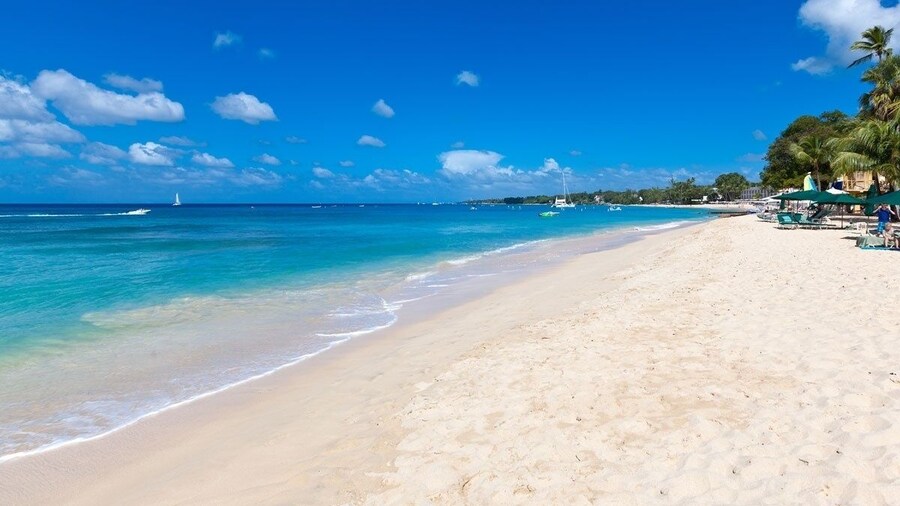 Turtle View by Bluescape