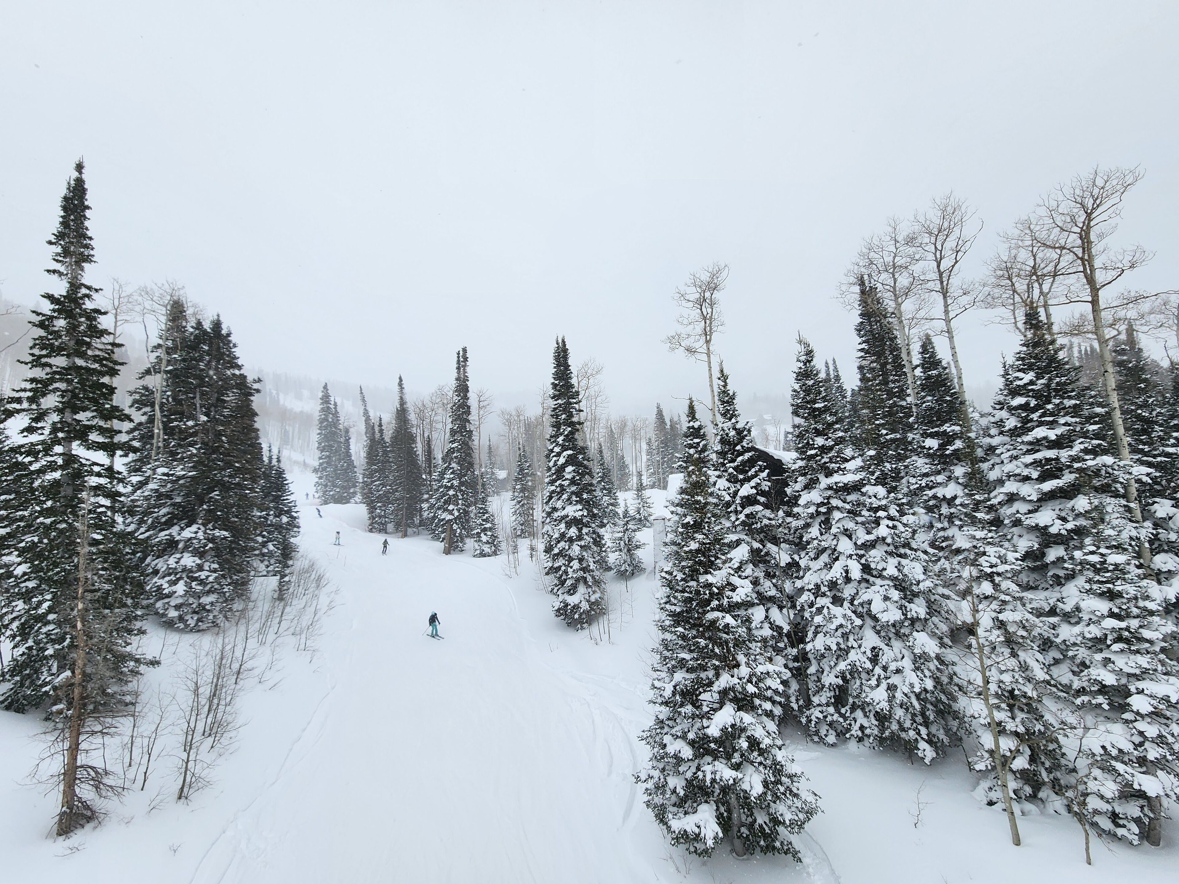Eine verschneite Waldszene, ein Skifahrer ist in der Ferne zu sehen.
