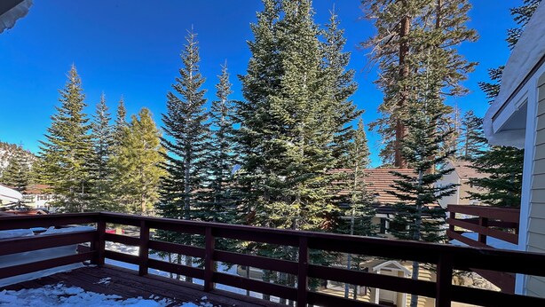 A wooden deck with snow on the ground, surrounded by tall evergreen trees and a clear blue sky.