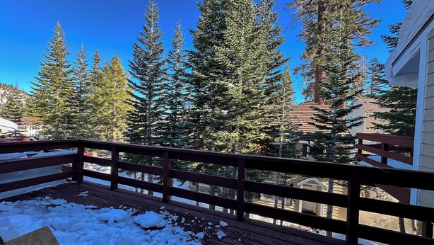 Una terraza de madera cubierta de nieve, rodeada de altos árboles de hoja perenne y un cielo azul despejado.