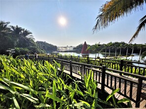 Áreas de la propiedad