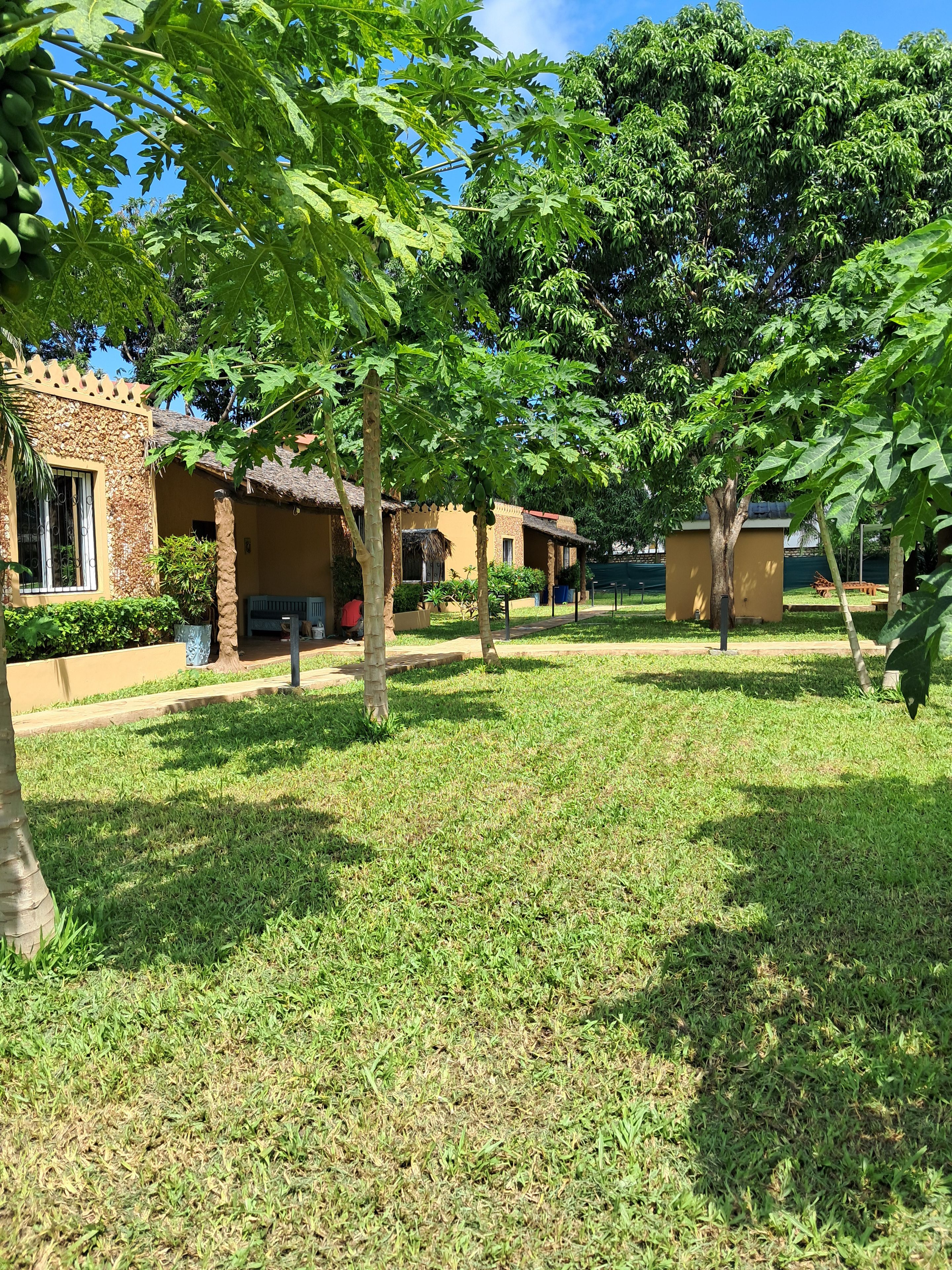 A courtyard with a thatched-roof building, a palm tree, and a well-maintained lawn.